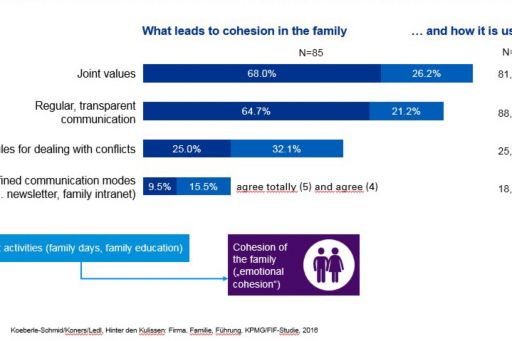 What leads to cohesion in family infographic
