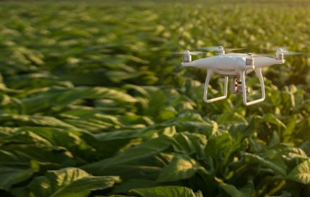 White drone flying over green plants