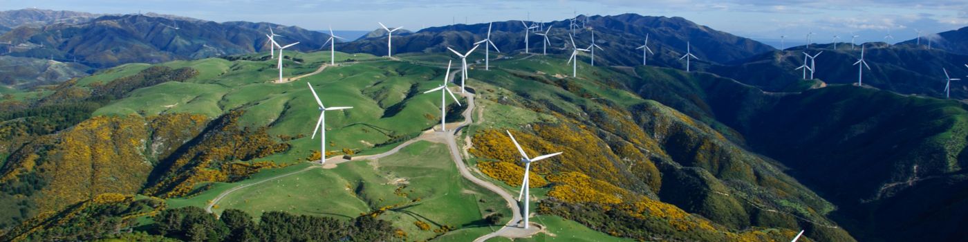 a wind farm in new zealand