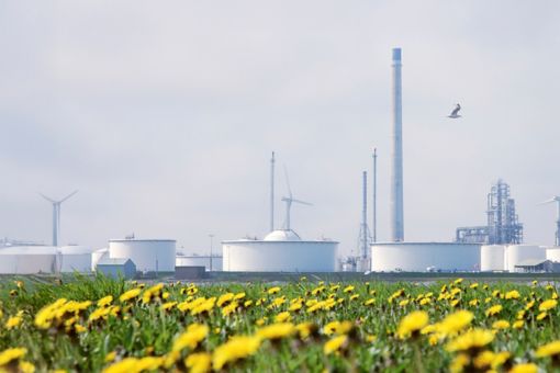 Wind turbines and a sunflower field