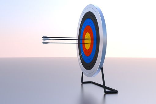 Winning the Customer