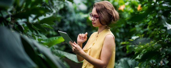 woman working on tablet