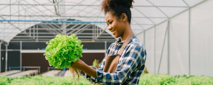 women doing agriculture