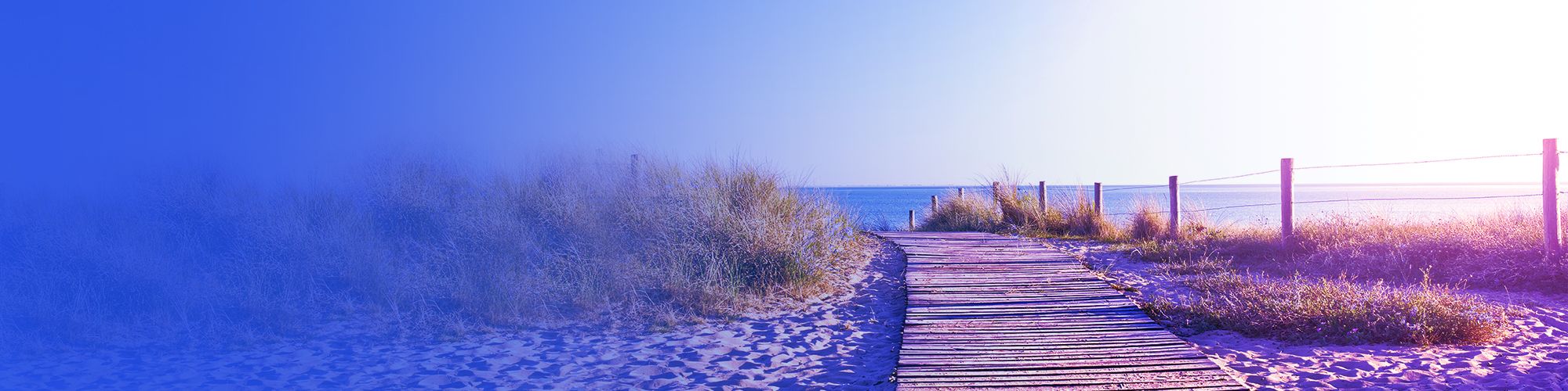 Wooden Path to the beach