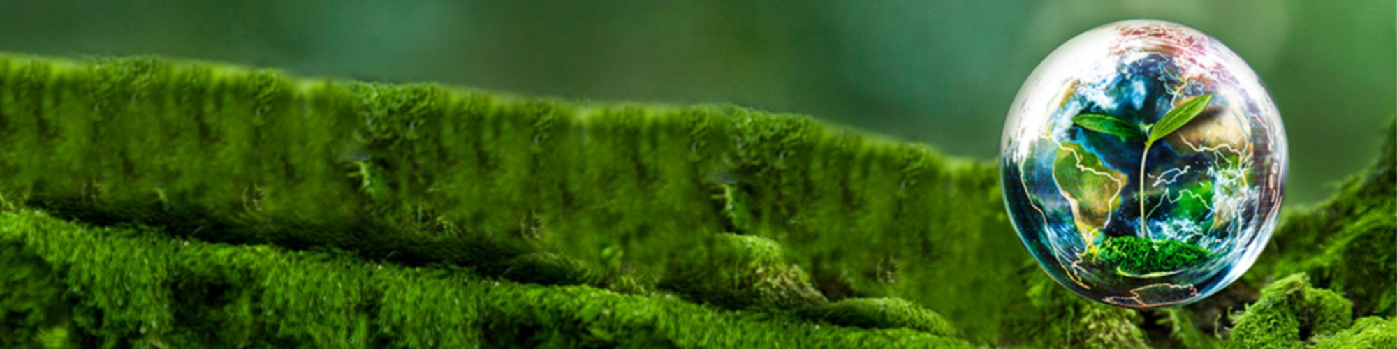 Principales tendencias ESG