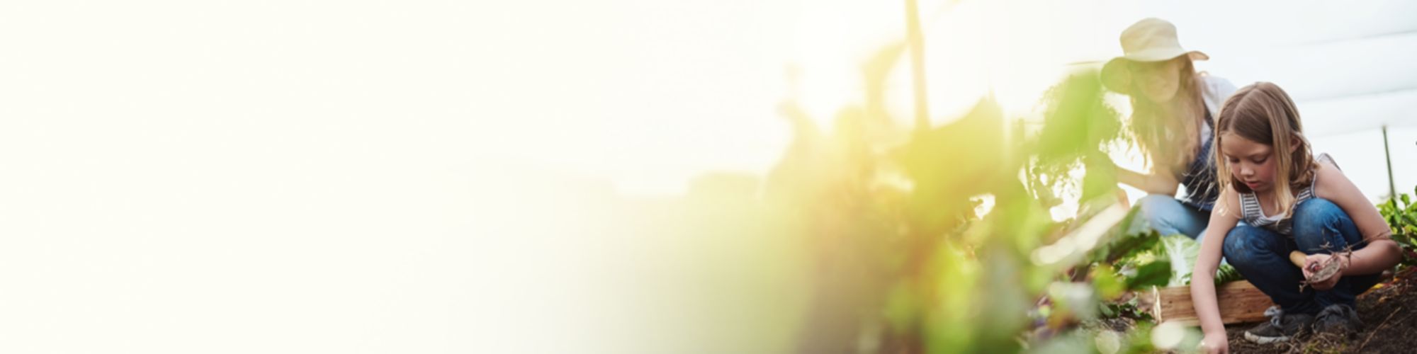 Prioriteer uw niet-financiële waarden