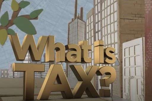 What is Tax?