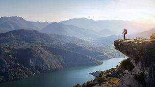 Life Insurance Industry Results Analysis