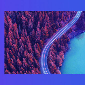 Winding road through forest