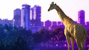 2026 Private Enterprise Venture Summit Identity