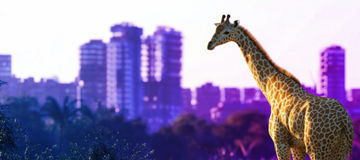 2026 Private Enterprise Venture Summit Identity