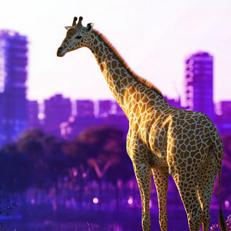 2026 Private Enterprise Venture Summit Identity