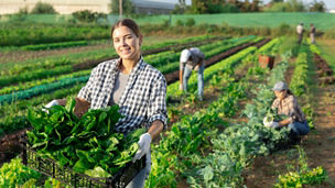 Woman holding vegetables in a farm
