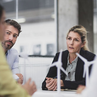 Business executives discussing wind energy