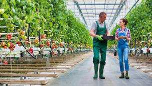 consumer-retail-and-leisure