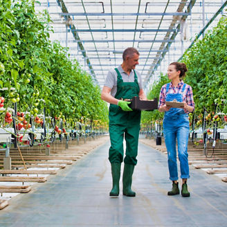 consumer-retail-and-leisure 