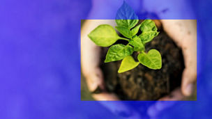 eco friendly building