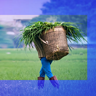 Woman carrying basket with palms