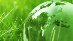 Glass globe on green grass