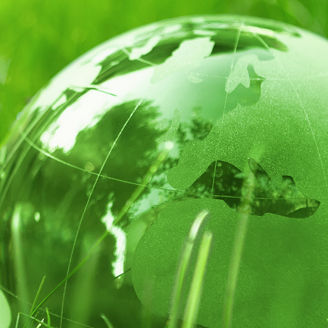 Glass globe on green grass