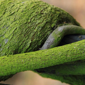 Aggiornamenti sulle evoluzioni normative in ambito Omnibus nature