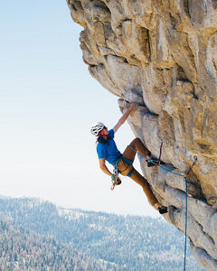 Finance & Treasury Management