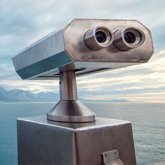 Binoculars looking out for fraud and corruption