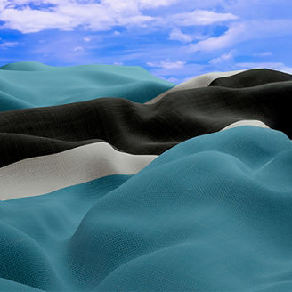 Botswana Budget Banner