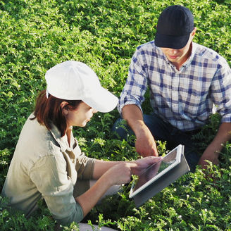 people in a farm looking at a tablette