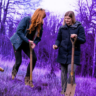 KPMG community planting trees for the KPMG Forest