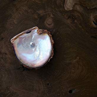 Pearl in an opened shell
