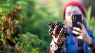 vizualizácia údajov o raste rastlín na digitálnom rozhraní