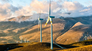 Two engineers looking at laptop over solar panels