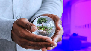 esg assurance