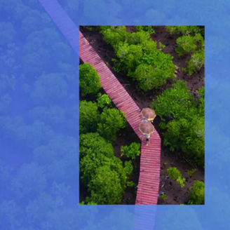 Weg auf dem zwei Menschen mit Regenschirmen laufen zwischen Bäumen von oben