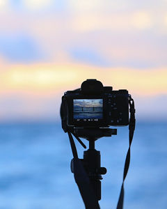 Finance & Treasury Management