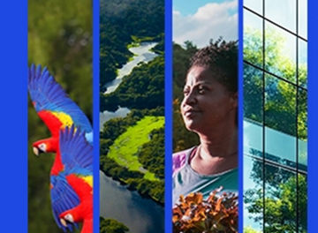 Japanese alt text: KPMG at COP30