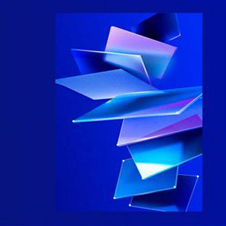 Customer using phone