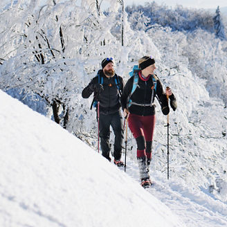 El papel del Comité de Auditoría ante el uso de la IA