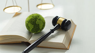 International Law and Environment Law.Green World and gavel on a book with scales of justice. law for global economic regulation aligned with the principles of sustainable environmental conservation.