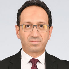 Hossam Hany