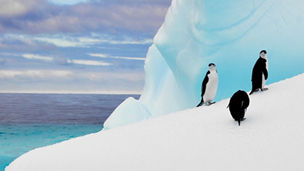 IFRS-Climate-Change-Going-Concern-Assessment-2022-banner-1500x536.jpg