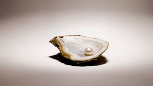 Pearl oyster