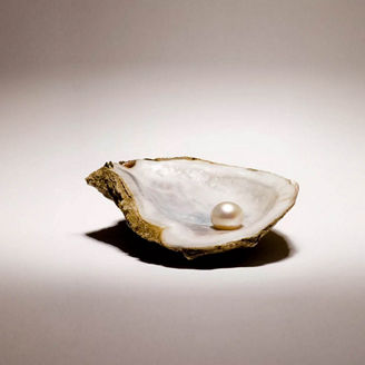 Pearl oyster