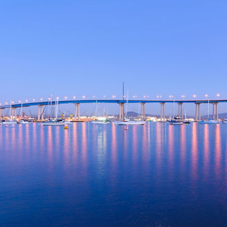 bridge management