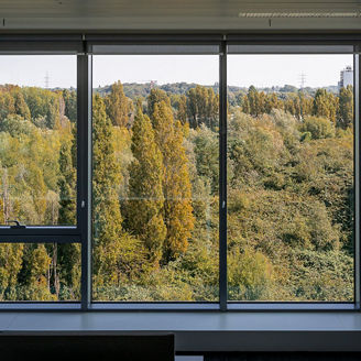 Window view on nature