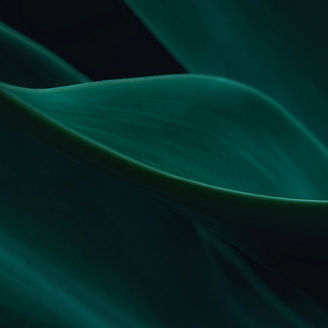 Abstract green image embodying resilience