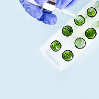 Researcher placing drops into test tubes 