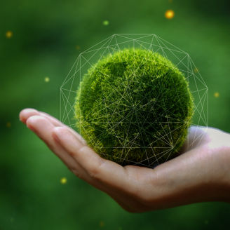 plant-sphere-in-palm