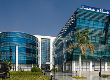 KPMG Egypt Leadership